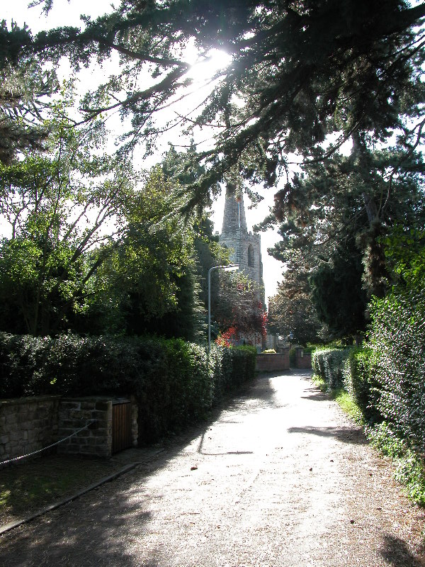 attenbnature017.jpg