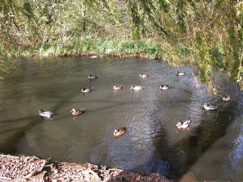attenbnature023.jpg