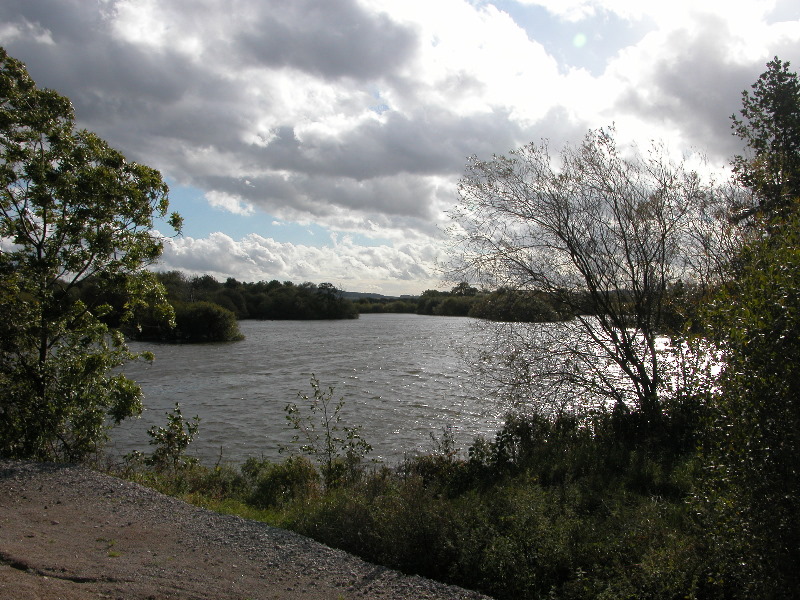 attenbnature036.jpg
