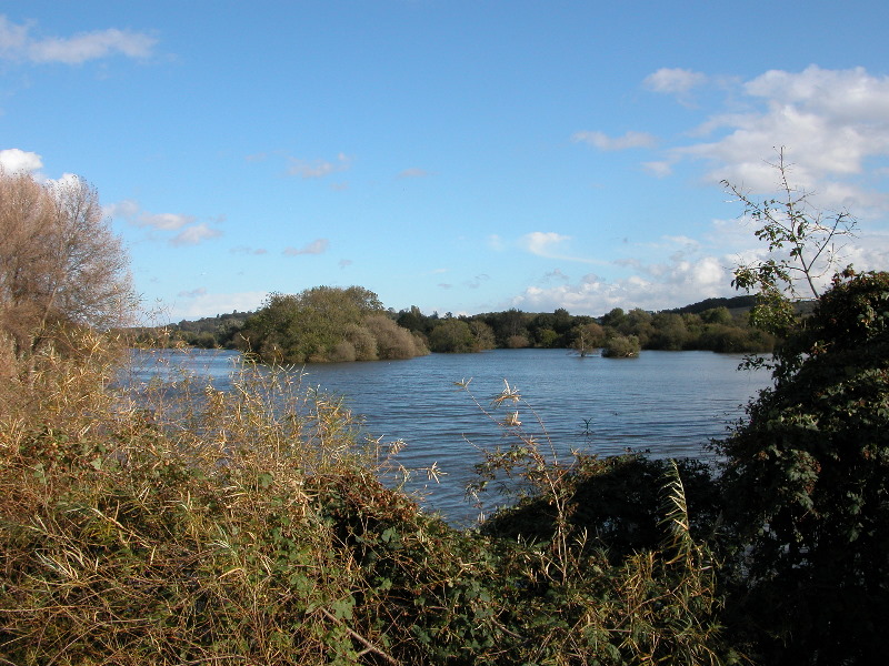attenbnature037.jpg