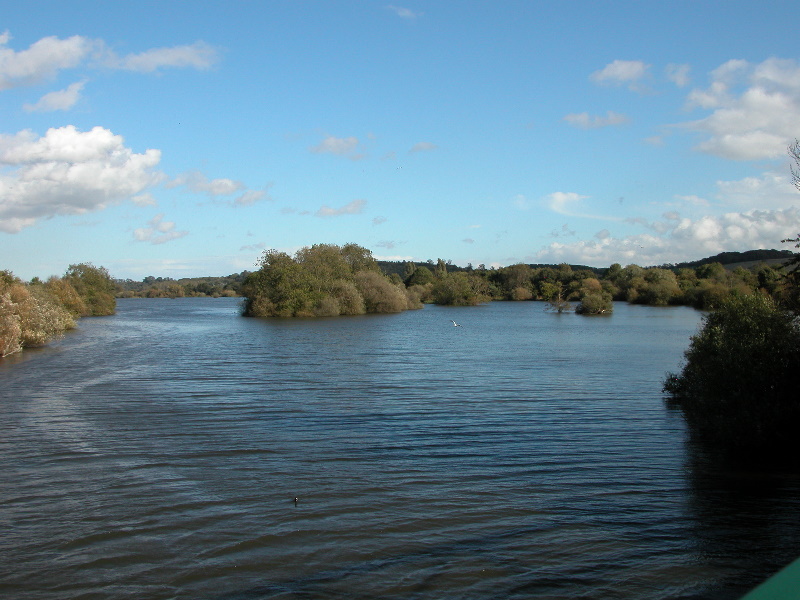 attenbnature038.jpg