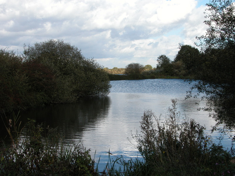 attenbnature057.jpg