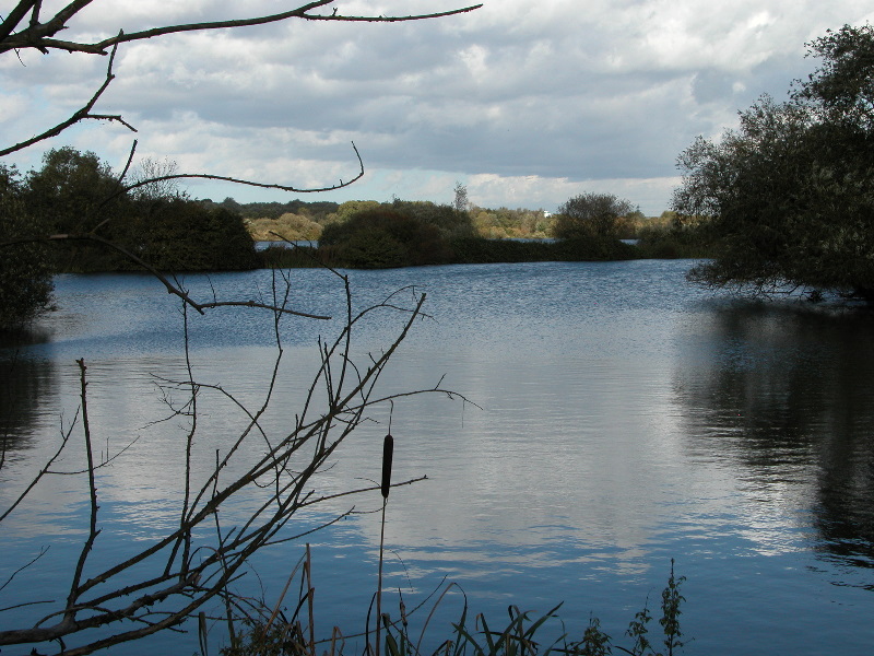 attenbnature058.jpg