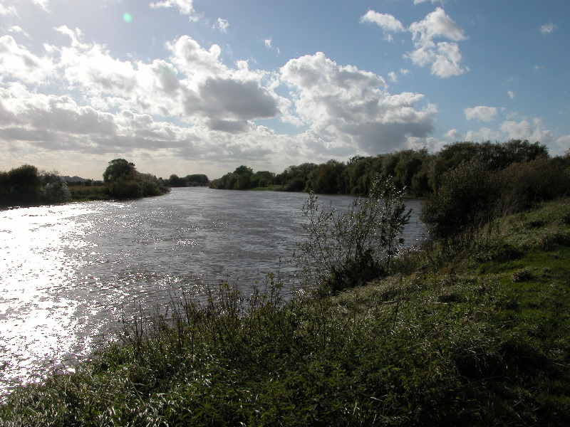 attenbnature098.jpg