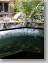 botgardens05.jpg