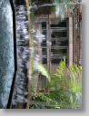 botgardens06.jpg