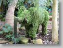 botgardens10.jpg