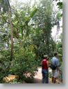 botgardens14.jpg