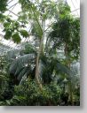 botgardens16.jpg