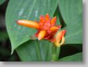 botgardens20.jpg