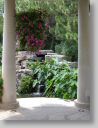 botgardens22.jpg