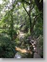 botgardens23.jpg