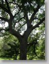 botgardens24.jpg