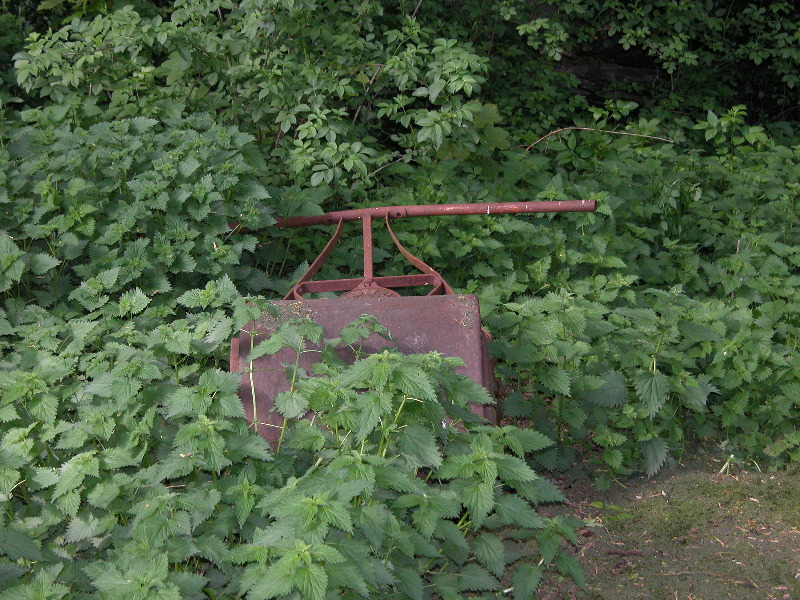 DSCN1285_800x600.jpg
