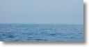boats_other_0007.jpg