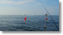 boats_other_0016.jpg