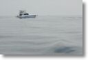 boats_other_0048.jpg