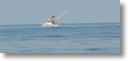 boats_other_0050.jpg