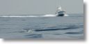boats_other_0051.jpg