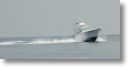 boats_other_0054.jpg