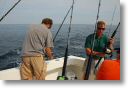 cliff_0023.jpg