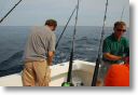cliff_0024.jpg