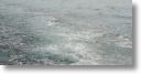 wakeywake_0020.jpg