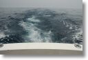 wakeywake_0037.jpg