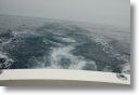 wakeywake_0038.jpg