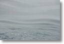 wakeywake_0039.jpg
