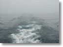 wakeywake_0041.jpg