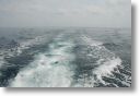 wakeywake_0045.jpg