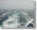 wakeywake_0046.jpg