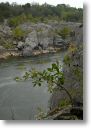 GreatFallsVA0231.jpg