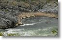 GreatFallsVA0302.jpg