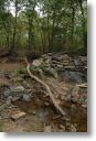 GreatFallsVA0314.jpg