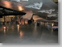 flightMus_017.jpg