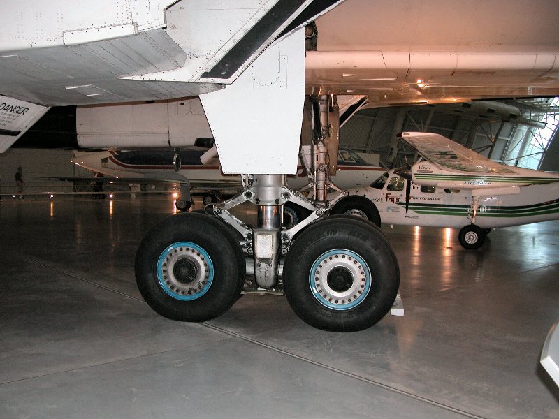 flightMus_025.jpg