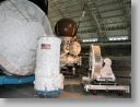 flightMus_040.jpg
