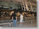 flightMus_051.jpg