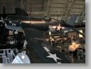 flightMus_100.jpg