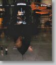 flightMus_102.jpg