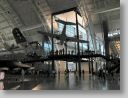 flightMus_113.jpg
