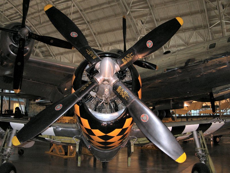 flightMus_127.jpg