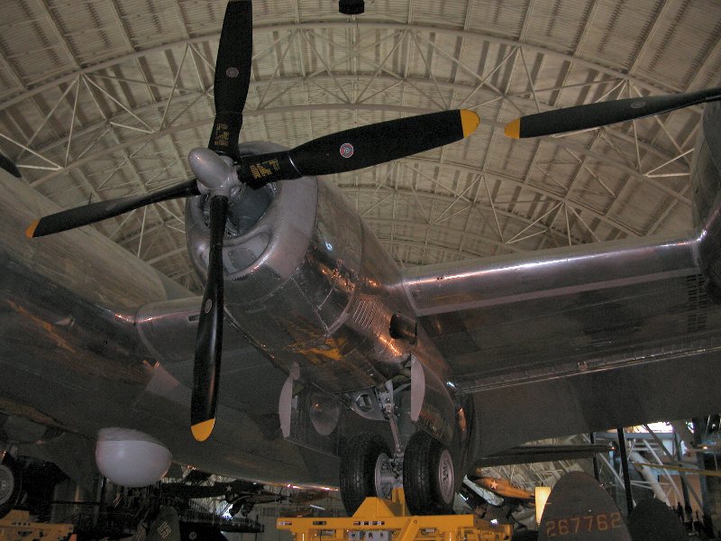 flightMus_132.jpg