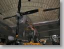 flightMus_132.jpg