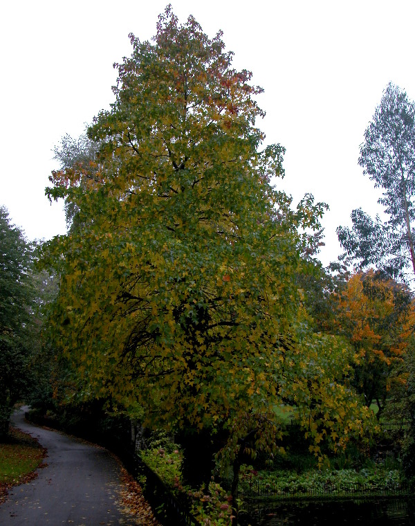 notts-arb110.jpg
