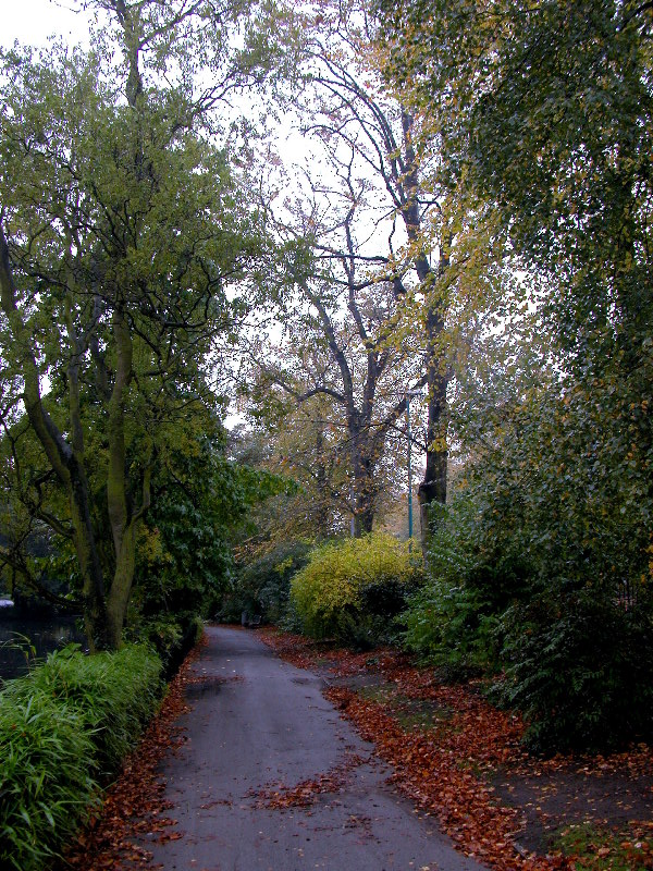 notts-arb114.jpg