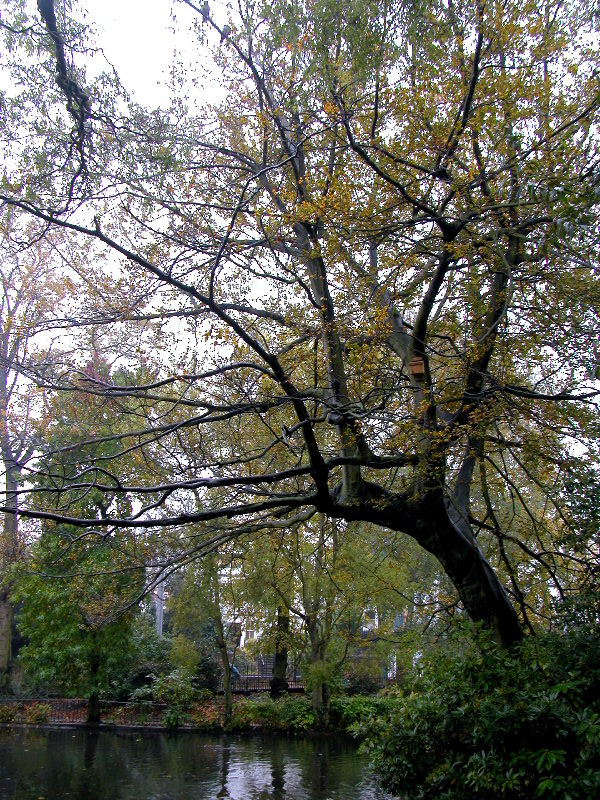 notts-arb142.jpg