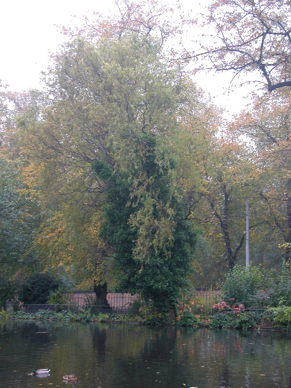 notts-arb146.jpg